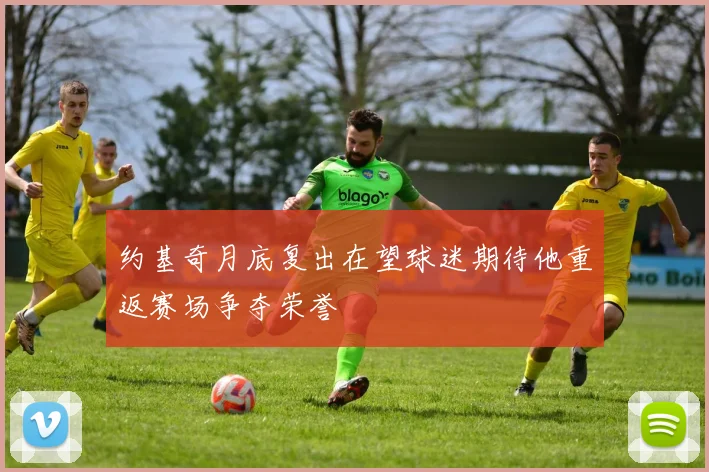 约基奇月底复出在望球迷期待他重返赛场争夺荣誉