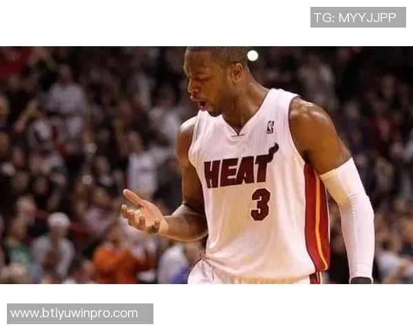 韦德谈退役生活：远离聚光灯的宁静与娱乐明星的不同体验